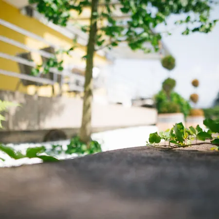 - Zollner Апарт-отель 3*