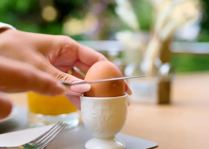 - Zollner Appart hôtel Villach