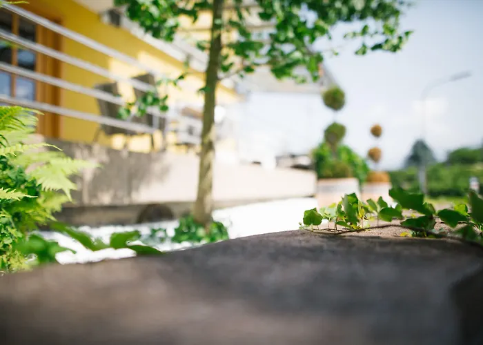 - Zollner מלון דירות 3*